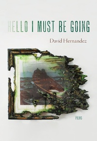 Enlarge image Cover: Hello I Must Be Going - Princeton University Press