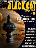 Cover: Black Cat Weekly #36 - Wildside Press