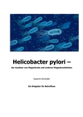 Cover: Helicobacter pylori - Nesterenko Verlag UG