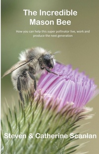 Enlarge image Cover: Incredible Mason Bee - Steven Scanlan