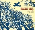 Cover: Bulut Kus - G&uuml;nisigi Kitapligi