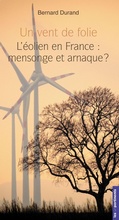 Cover: Un vent de folie - les unpertinents