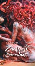 Cover: Zerstreute Sammlung - edition GALERIE VEVAIS