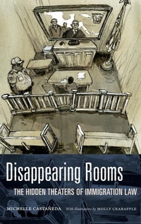 Enlarge image Cover: Disappearing Rooms - Duke University Press