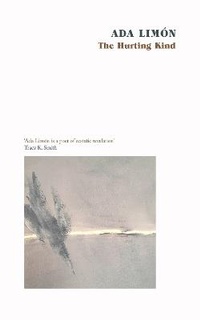 Enlarge image Cover: The Hurting Kind - Corsair