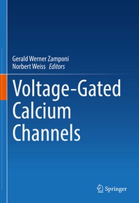 Abbildung von: Voltage-Gated Calcium Channels - Springer