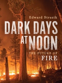Abbildung von: Dark Days at Noon - McGill-Queen's University Press