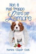 Cover: Non &egrave; mai troppo tardi per l'amore - Babelcube Inc.