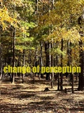 Cover: Change of Perception - Gabriele Hauser