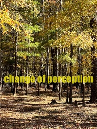 Enlarge image Cover: Change of Perception - Gabriele Hauser