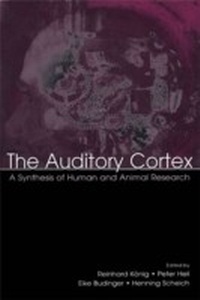 Abbildung von: The Auditory Cortex - Psychology Press Ltd