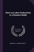 Cover: Short run Labor Productivity in a Dynamic Model - Palala Press