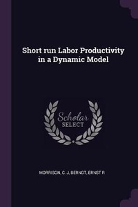 Enlarge image Cover: Short run Labor Productivity in a Dynamic Model - Palala Press