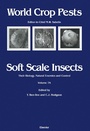 Cover: Soft Scale Insects - Elsevier