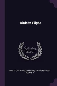 Enlarge image Cover: Birds in Flight - Palala Press