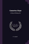 Cover: Camerton Slope - Palala Press