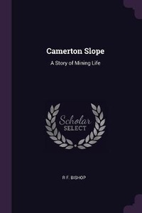 Enlarge image Cover: Camerton Slope - Palala Press