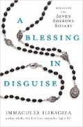 Cover: A Blessing in Disguise - Hay House UK Ltd