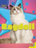 Cover: Ragdoll - Av2