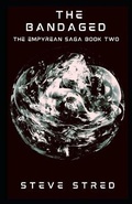 Cover: The Bandaged - Black Void Publishing