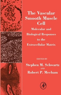 Enlarge image Cover: The Vascular Smooth Muscle Cell - Academic Press