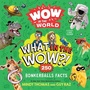 Cover: Wow in the World: What in the Wow?! - Clarion Books