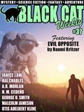 Cover: Black Cat Weekly #37 - Wildside Press
