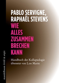 Abbildung von: Wie alles zusammenbrechen kann - Mandelbaum Verlag eG