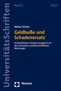 Abbildung von: Geldbuße und Schadenersatz - Nomos