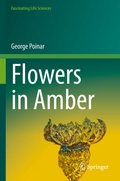 Cover: Flowers in Amber - Springer