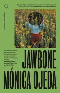 Enlarge image Cover: Jawbone - New Ruins