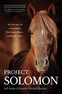Enlarge image Cover: Project Solomon - Tyndale Momentum