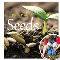Enlarge image Cover: Seeds - BookLife Publishing