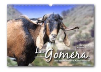 Abbildung von: La Gomera (Wandkalender 2023, DIN-A-3 quer, mit zusätzlicher Textseite) - Pixel-Büro. Melle