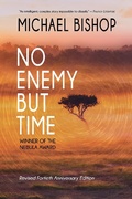 Cover: No Enemy but Time - Fairwood Press