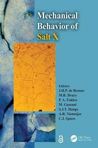 Abbildung von: The Mechanical Behavior of Salt X - CRC Press