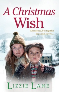 Abbildung von: A Christmas Wish - Boldwood Books Ltd