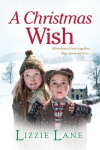 Abbildung von: A Christmas Wish - Boldwood Books Ltd