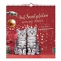Cover: Auf Samtpfoten durch den Advent - St. Benno Verlag GmbH