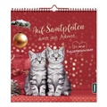 Cover: Auf Samtpfoten durch den Advent - St. Benno Verlag GmbH