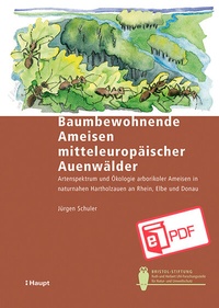 Abbildung von: Baumbewohnende Ameisen mitteleuropäischer Auenwälder - Haupt Verlag