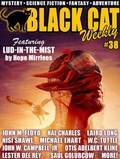 Cover: Black Cat Weekly #38 - Wildside Press