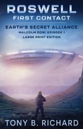 Cover: Roswell - Beier Software Development