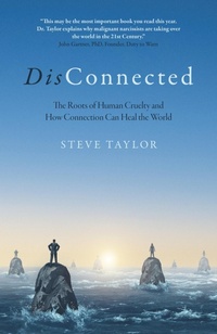 Enlarge image Cover: DisConnected - John Hunt Publishing
