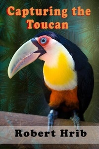 Abbildung von: Capturing Toucan - Distributed By Ingram Spark
