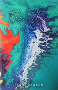 Cover: The After - Vision a Ray