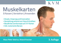 Abbildung von: Muskelkarten - KVM - Der Medizinverlag