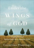 Cover: Under the Wings of God - Twenty Biblical Reflections for a Deeper Faith - Baker Books, a division of Baker Publishing Group