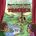 Cover: Why I Get Into Trouble - Elk Lake Publishing Inc