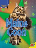 Cover: Maine Coon - Av2